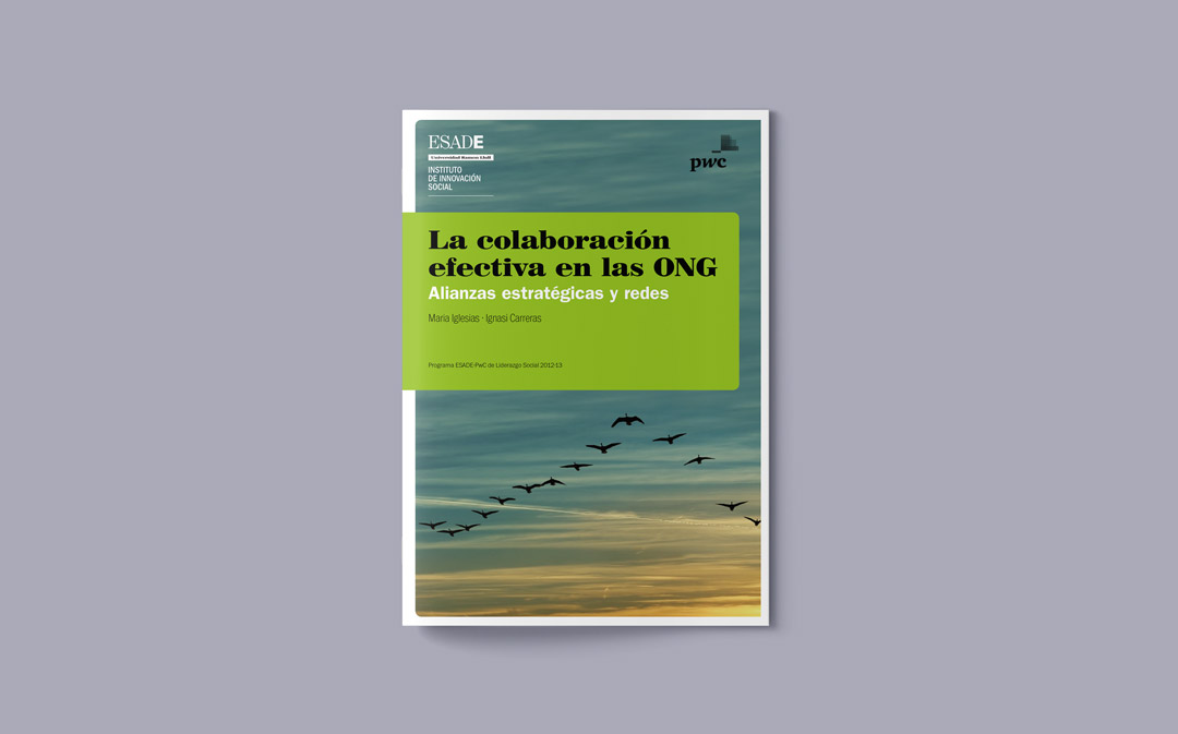 La colaboración efectiva en las ONG. Alianzas estratégicas y redes