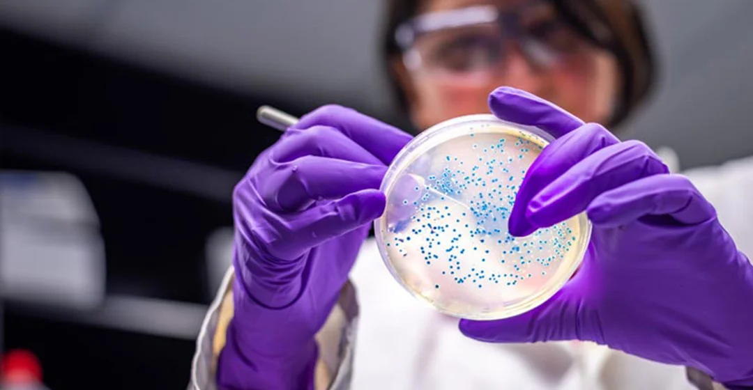 IEE-research-collaboration-1080x560